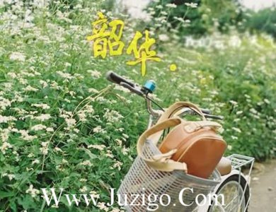 ​幸福甜蜜的句子精短