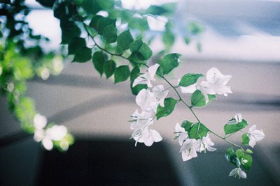 ​中秋节搞笑整人短信62句