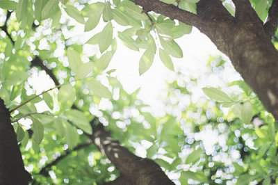 ​2023年适合发朋友圈的逗比句子(49句)