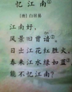 ​赞美帅哥美景的句子 赞美对帅哥的句子