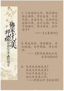 ​佛经上的句子 佛经里有哪些精美的句子