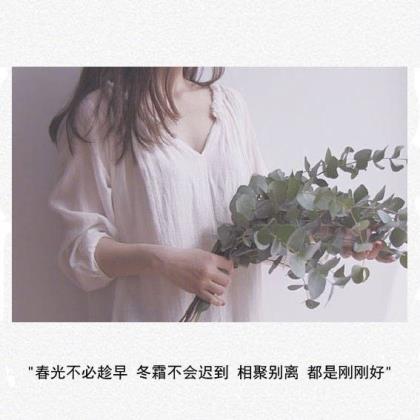 夸赞女人最经典句子