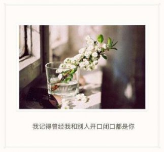 ​愿你开头的唯美句子（形容橘子好吃的短句）