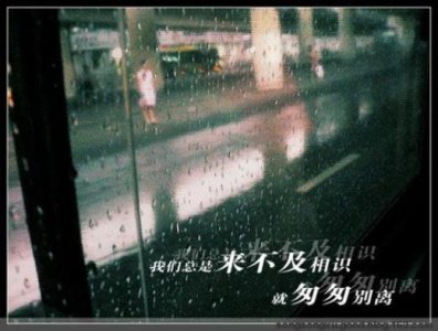 ​周末愉快最简单一句话发朋友圈（晚安句子不超15个字）