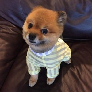 ​立春唯美语录 立春语录(20条)