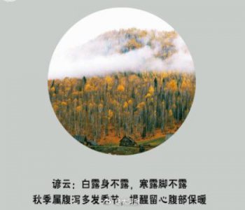 ​天官赐福经典语录大全