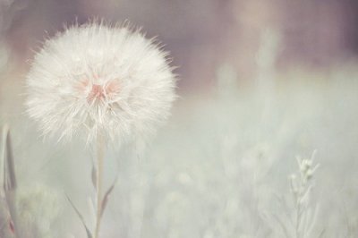 ​相思的句子牵挂一个人思念一个人的唯美句子(61句)