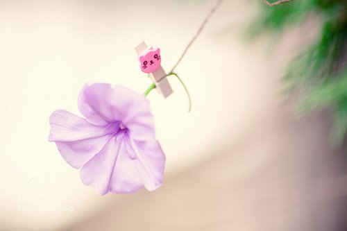 描写温馨的句子80句