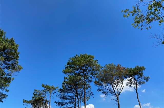 超级难受的想哭网名(663个)