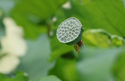 ​霸气时尚的超酷男生超拽网名(优选185个)