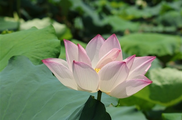 重口味qq网名(精选133个)