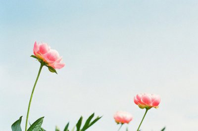 ​怀旧时光的话91句