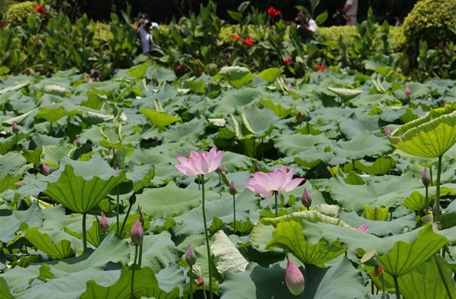 花季少女的qq网名(296个)