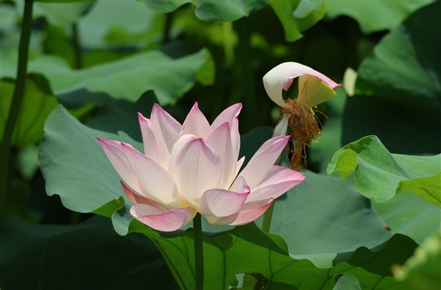 花季少女的qq网名(296个)