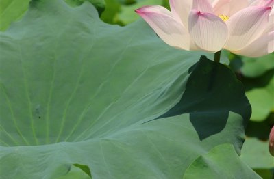 ​唯美的情侣网名一左一右(159个)
