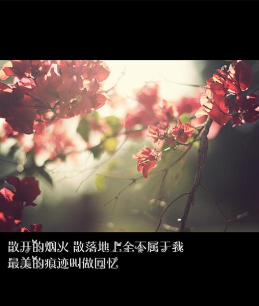 表示单身女的个性签名