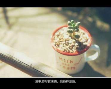 ​最新 2023励志个性签名