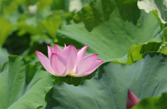 班级群名称搞笑幽默