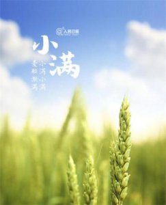 ​关于水浒的歇后语大全（水浒传歇后语50个）