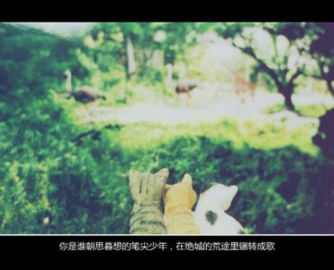 ​用之所以是因为造句大全[15条]