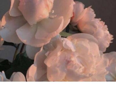 三八妇女节微信表情