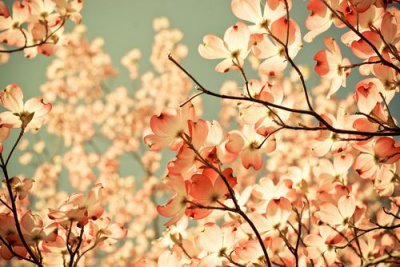 ​七夕送花卡片留言大全2023七夕送花卡片语(精选107句)