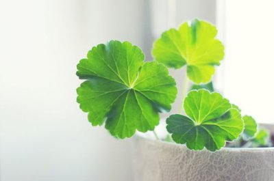 ​超短比喻句100句