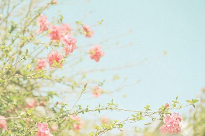 ​风拟人句大全32句
