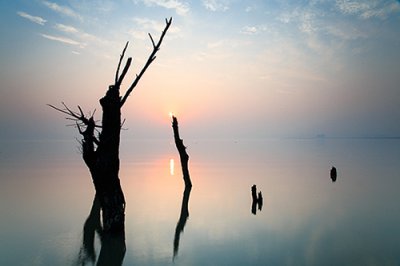 ​清明时节给革命先烈寄语精选2024(39句)