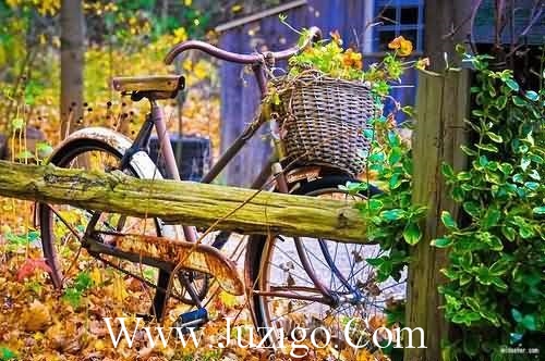 瞎子背瞎子歇后语29句