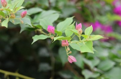 ​励志文案短句干净治愈