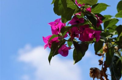 ​最吸引人最容易火的抖音名字(精选568个)