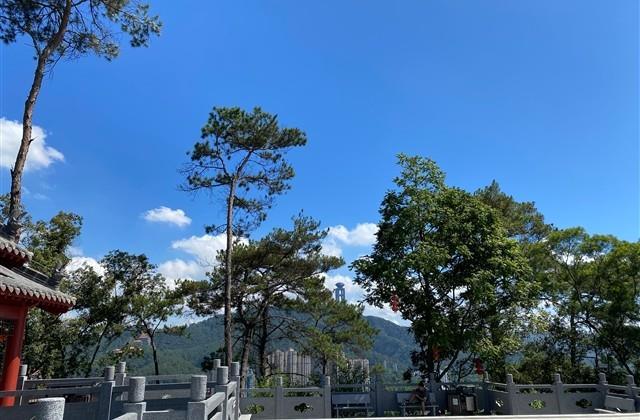 天涯明月刀三字游戏名(共597个)