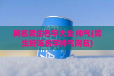 ​网名男生名字大全 帅气(男生好听名字帅气网名)