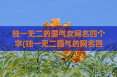 ​独一无二的霸气女网名四个字(独一无二霸气的网名四个字抖音男)