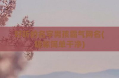 ​好听的名字男孩霸气网名(昵称简单干净)