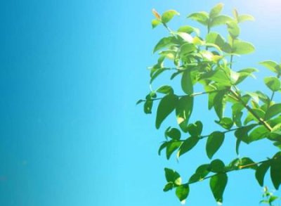 ​伤感心痛到绝望的微信个性名字，心被伤透了的微信网名