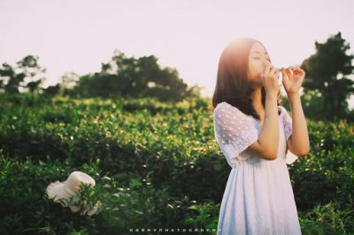 ​冬至简短文案(精选15篇)