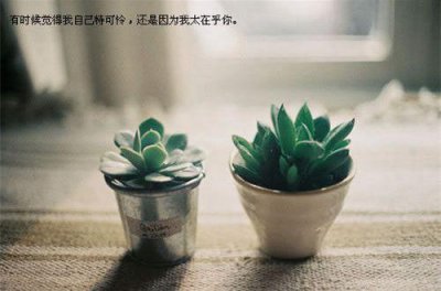 ​人生感悟的语录简短句子106句