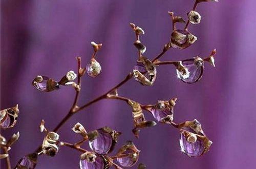 伤感古风句子断肠
