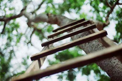 ​对友谊的人生感悟句子