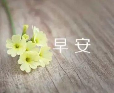 ​勉励自己的人生感悟句子