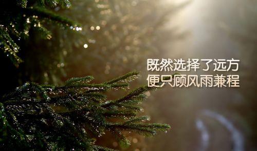 描写夜空的优美句子