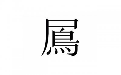 ​王充博览的句子短句合集60条