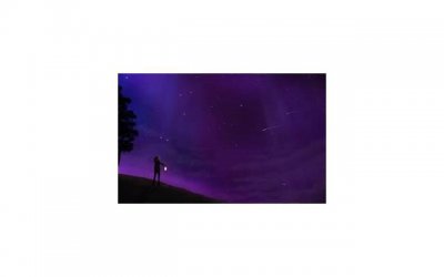 ​关于幸福的句子经典(25句)