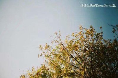 ​有关表述思念情人的句子汇总68句