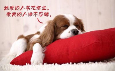 ​晚霞映红了天空 晚霞唯美的短句子(67句)