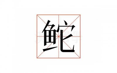 ​书本精华句子(汇总81句)
