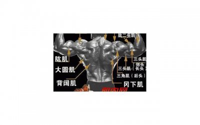 ​十字励志短句对偶精选90句