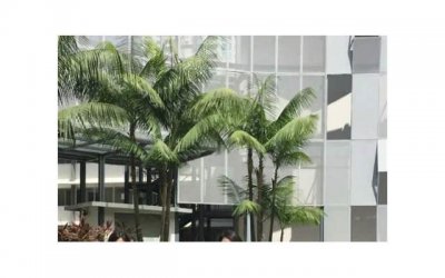​开学季语录励志短句(开学励志语录经典短句)